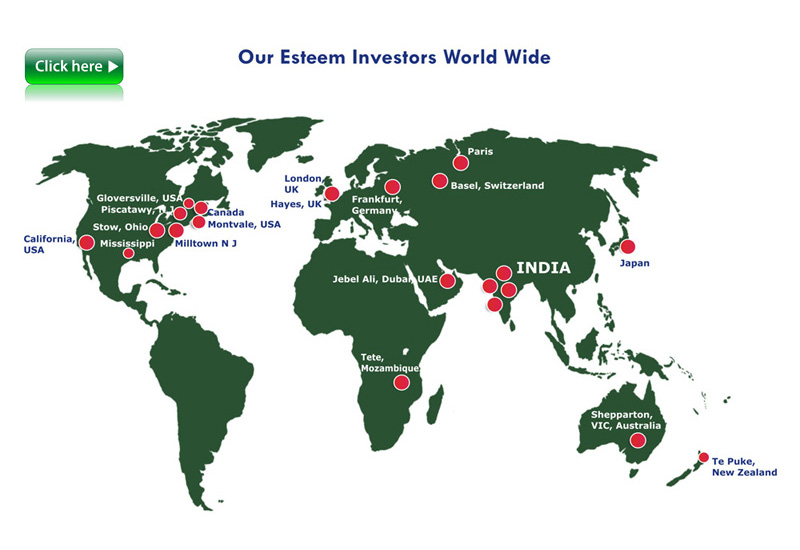 Our Esteem Investors-Dholera Metro City